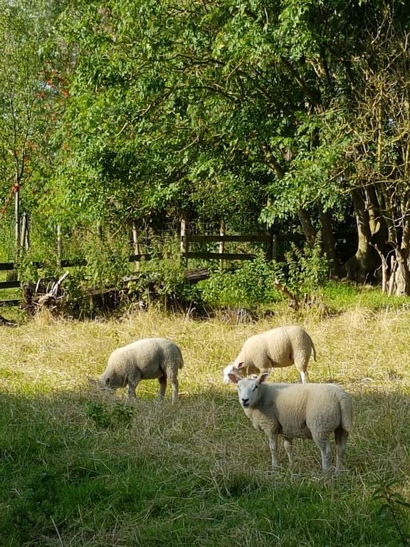 Appartamento Het Stalhuys Reeuwijk Esterno foto