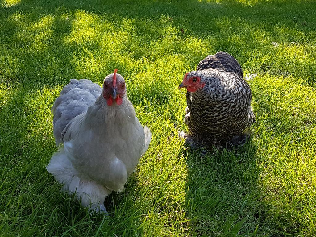 Appartamento Het Stalhuys Reeuwijk Esterno foto